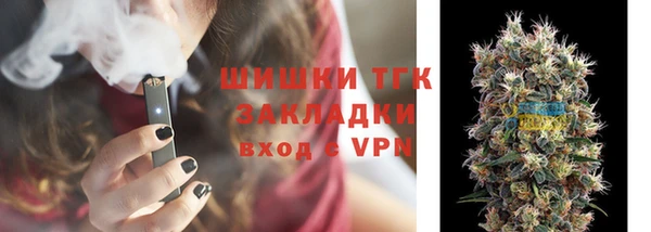 Альфа ПВП Горняк