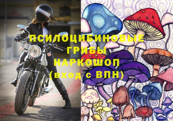 ешки Горнозаводск